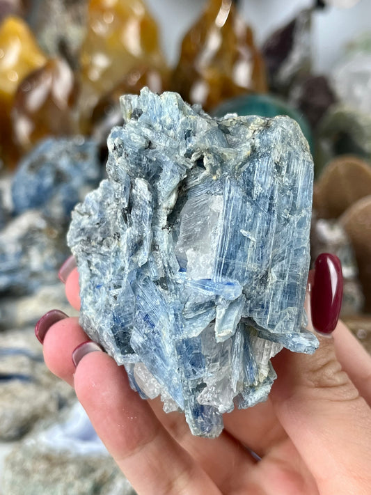 Blue Kyanite in Quartz
