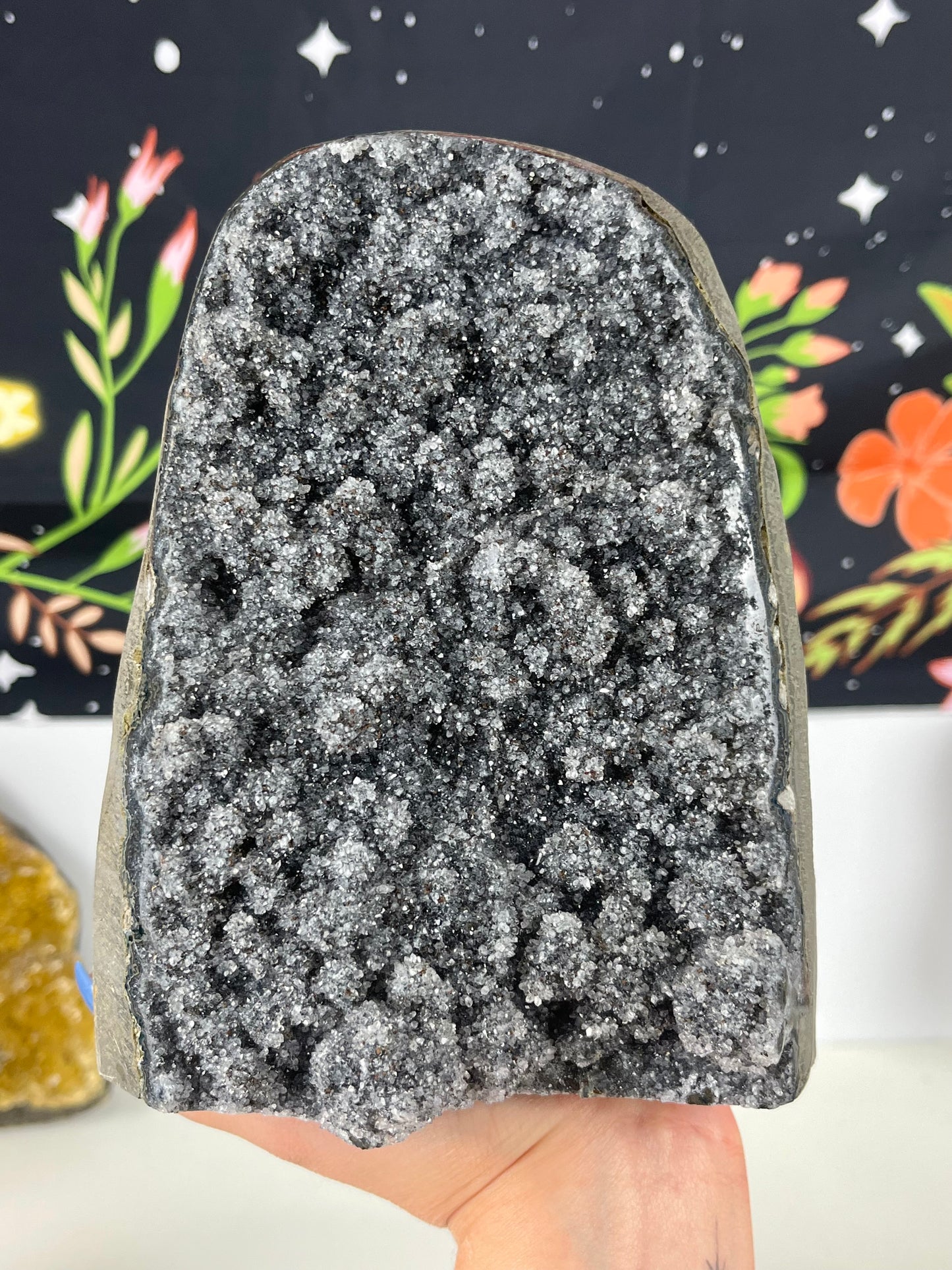 Black Galaxy Amethyst with Stalactites