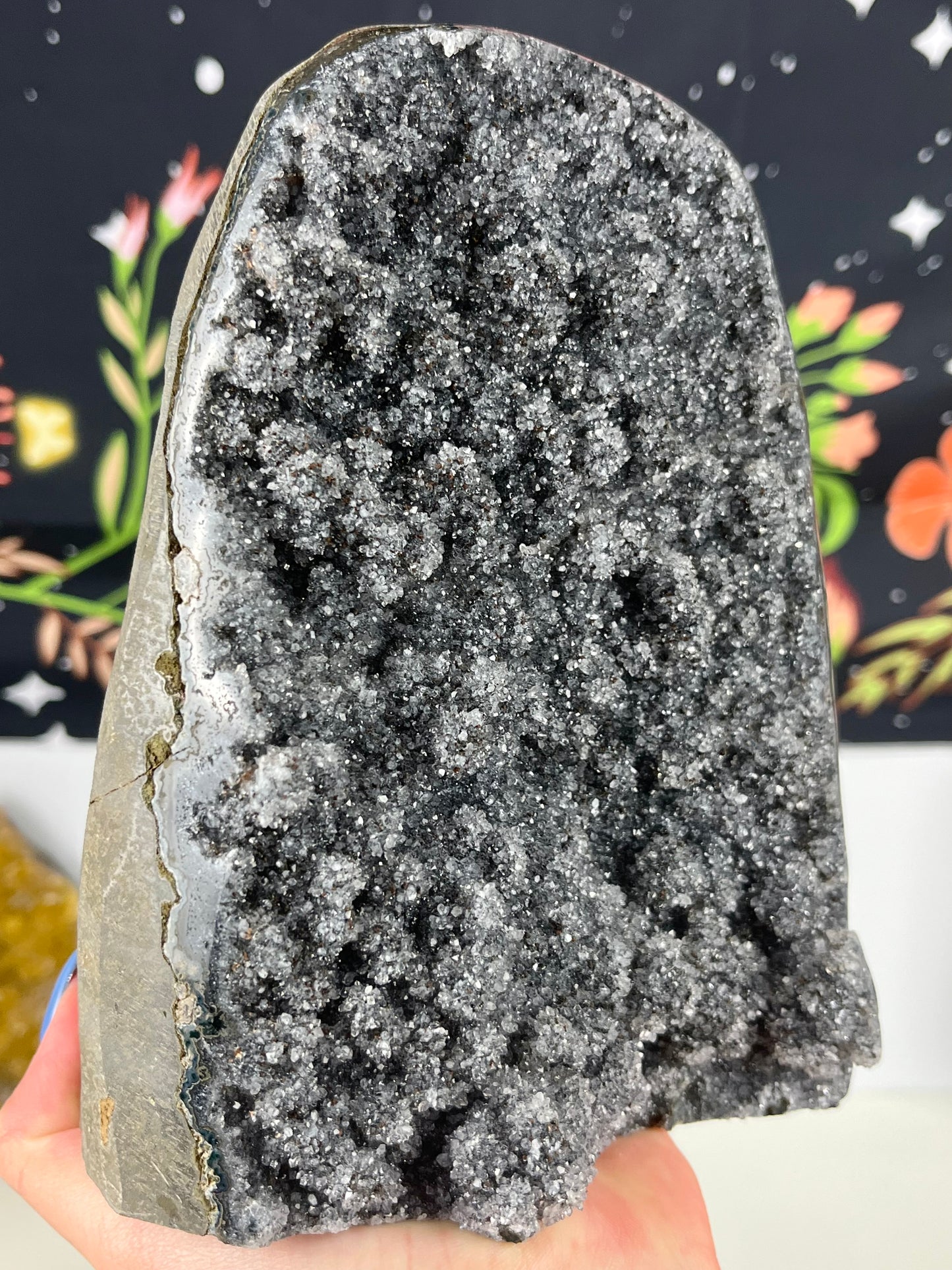 Black Galaxy Amethyst with Stalactites