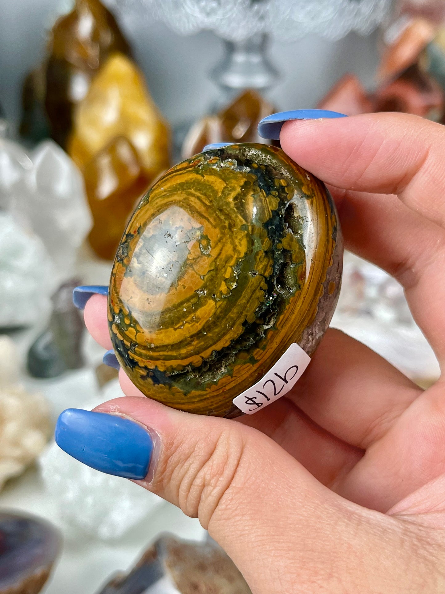 Orbicular Ocean Jasper Palmstone