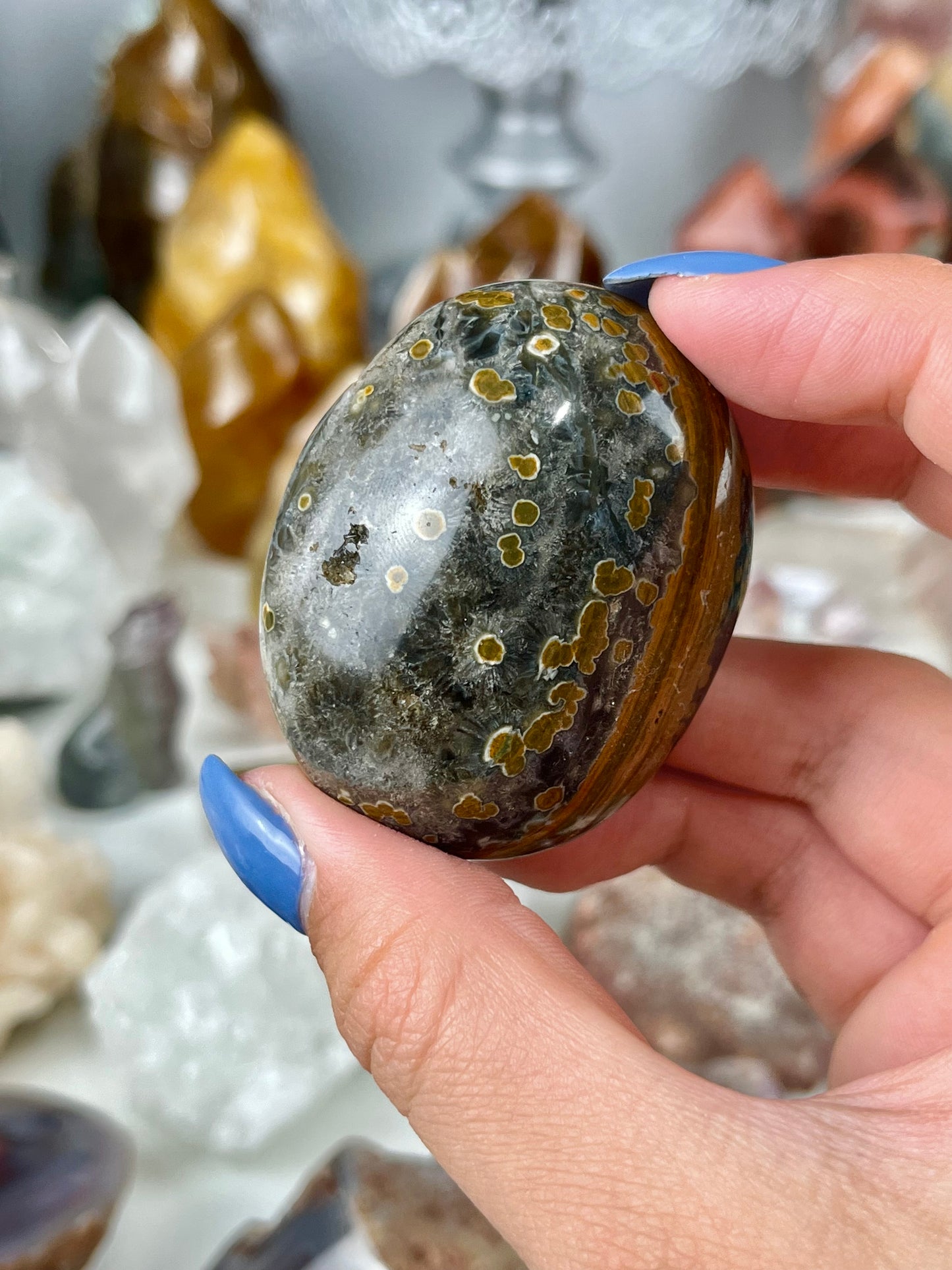 Orbicular Ocean Jasper Palmstone