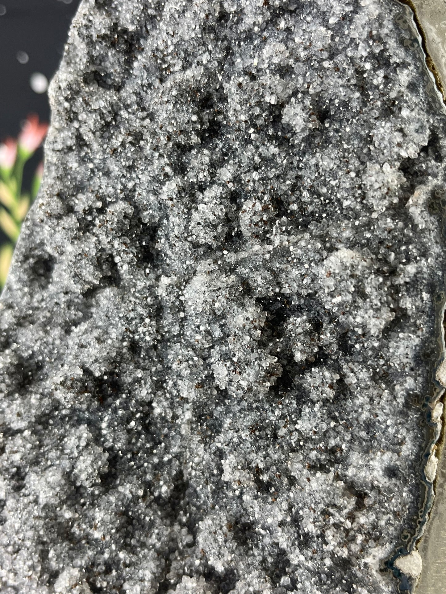 Black Galaxy Amethyst with Stalactites