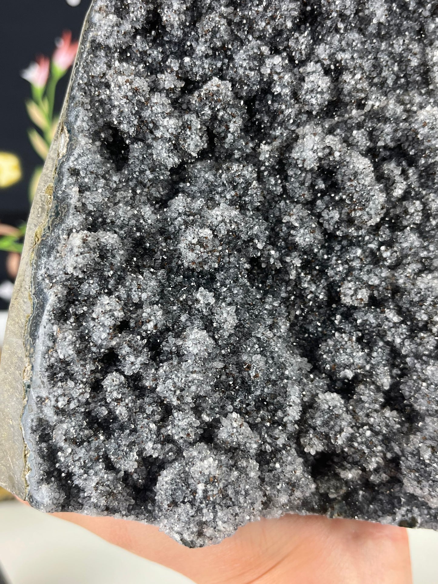 Black Galaxy Amethyst with Stalactites