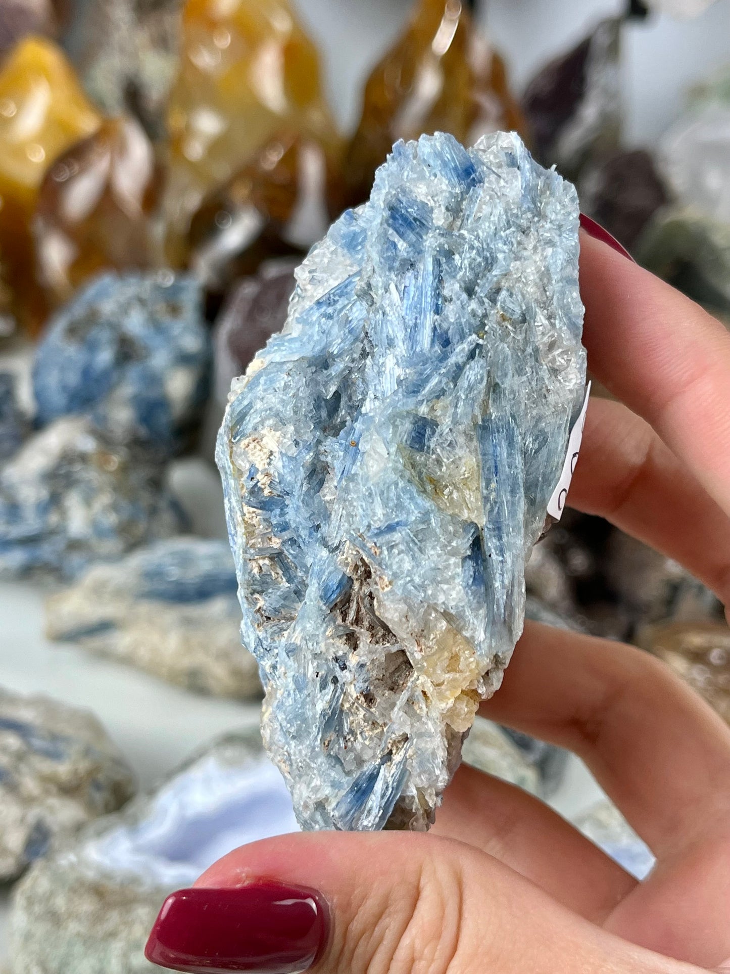 Blue Kyanite in Quartz