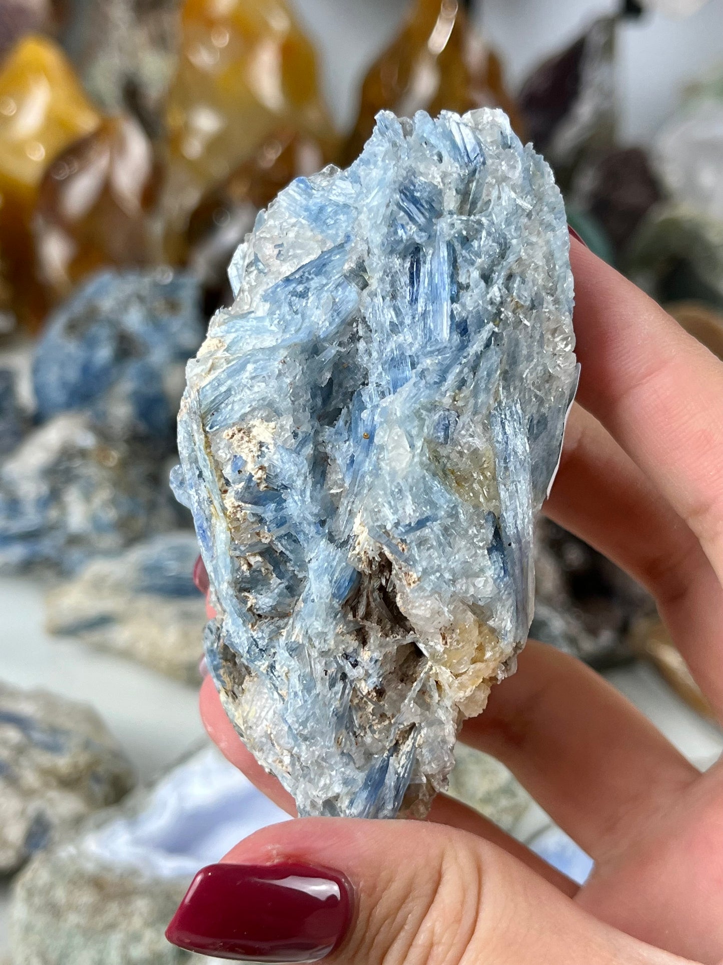 Blue Kyanite in Quartz