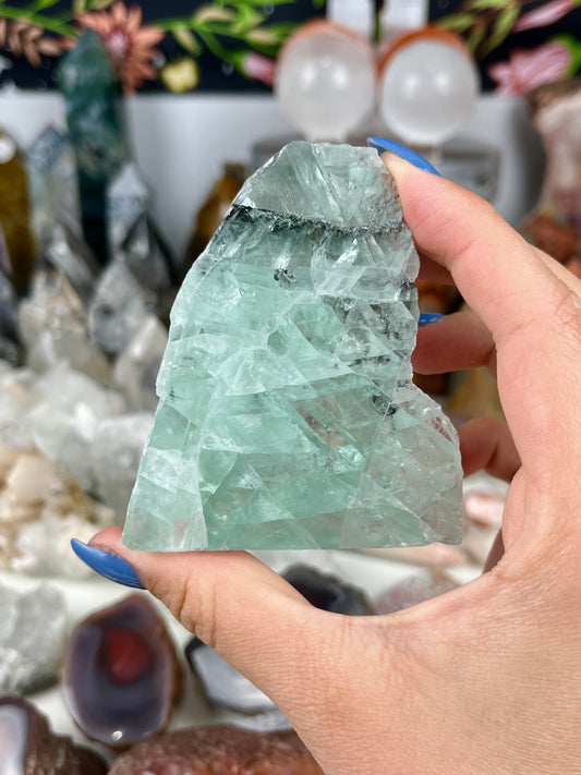 Mint Dendritic Fluorite Half Polished Freeform