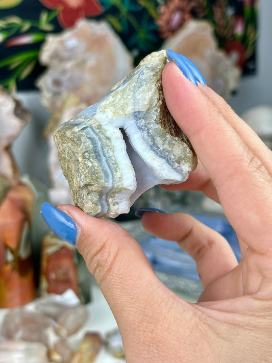 Blue Lace Agate Druzy Geode